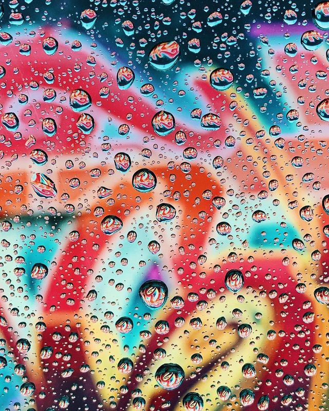 Apple показала найкращі фото, зняті на iPhone - фото 310233