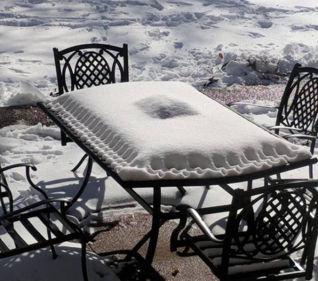 Ідеально: фотографії, які потішать всіх перфекціоністів - фото 310356