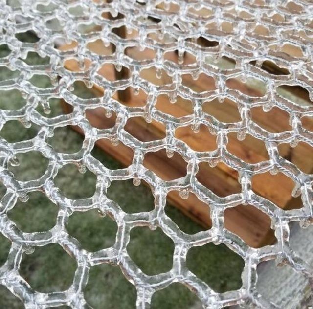 Ідеально: фотографії, які потішать всіх перфекціоністів - фото 310357