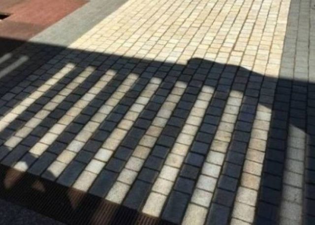 Ідеально: фотографії, які потішать всіх перфекціоністів - фото 310358