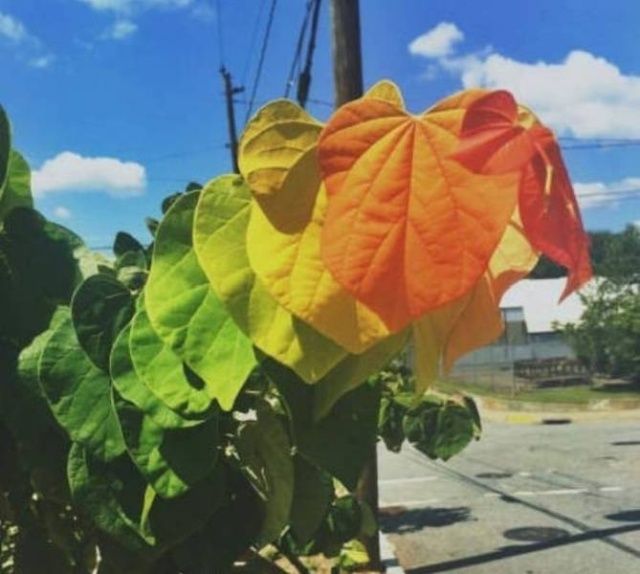 Ідеально: фотографії, які потішать всіх перфекціоністів - фото 310362