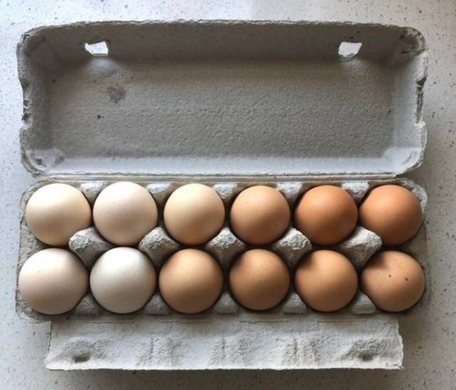 Ідеально: фотографії, які потішать всіх перфекціоністів - фото 310366