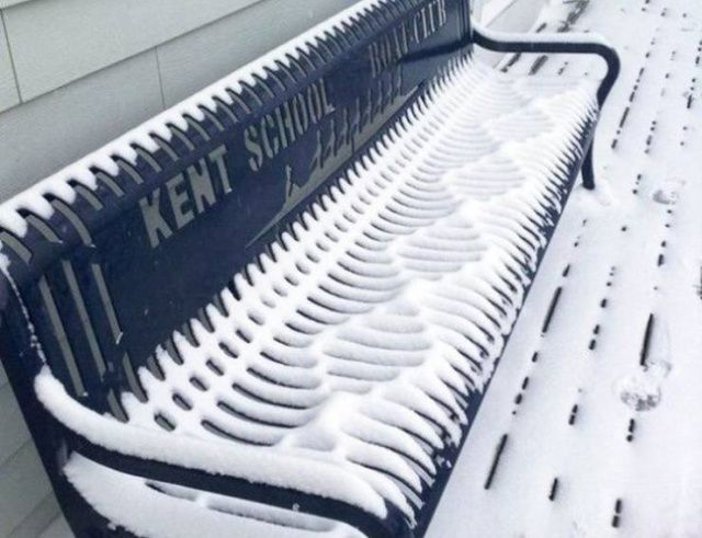 Ідеально: фотографії, які потішать всіх перфекціоністів - фото 310370