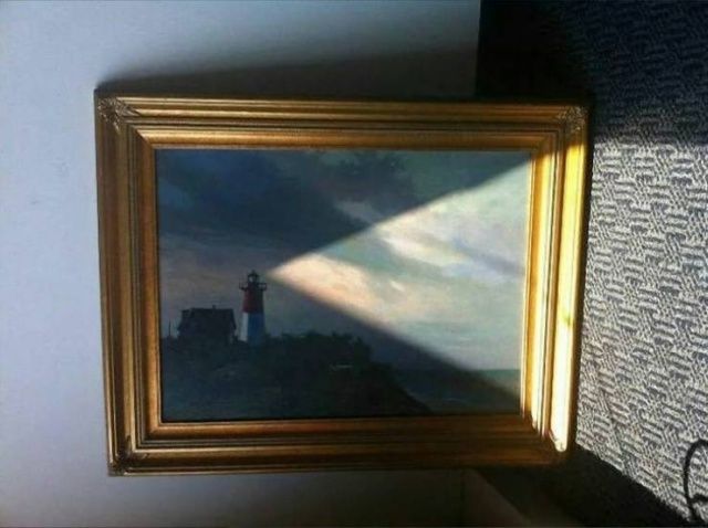 Ідеально: фотографії, які потішать всіх перфекціоністів - фото 310371