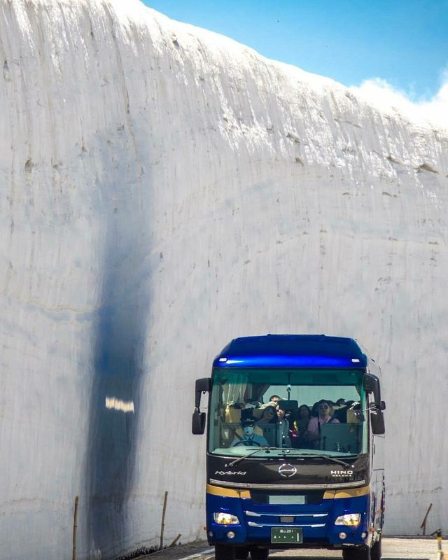 Як виглядає сніговий коридор у Японії: ефектні кадри - фото 310768