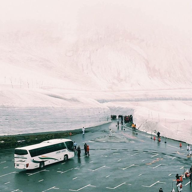 Як виглядає сніговий коридор у Японії: ефектні кадри - фото 310769