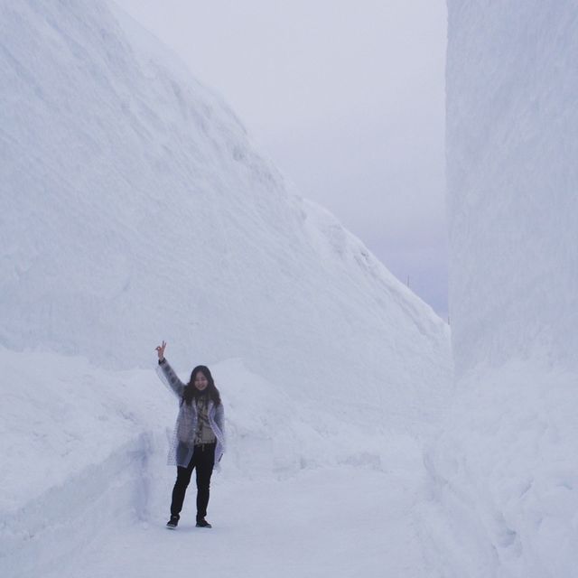 Як виглядає сніговий коридор у Японії: ефектні кадри - фото 310770