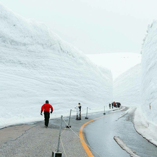 Як виглядає сніговий коридор у Японії: ефектні кадри - фото 310773