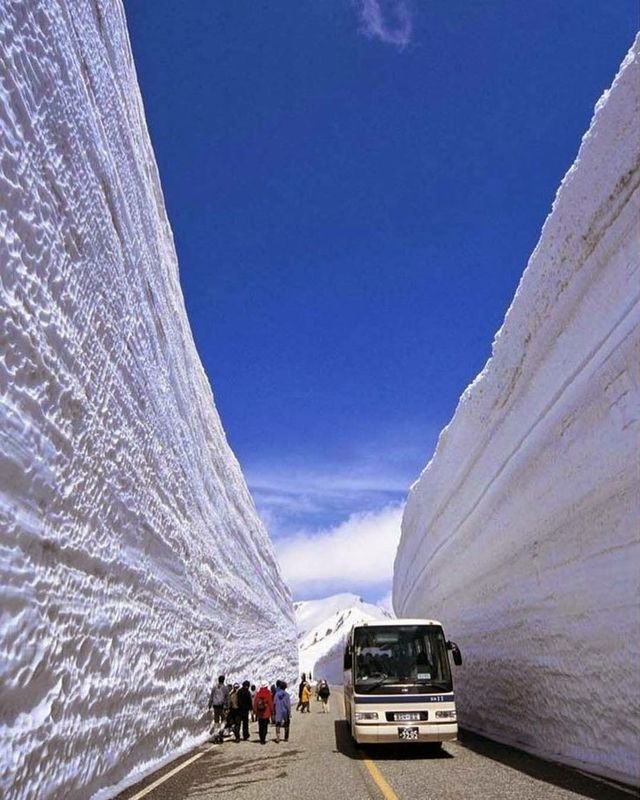 Як виглядає сніговий коридор у Японії: ефектні кадри - фото 310775