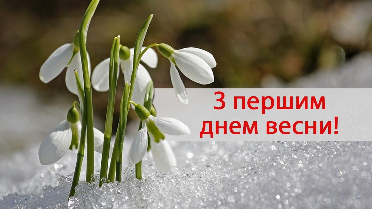 З першим днем весни 2025! - фото 1