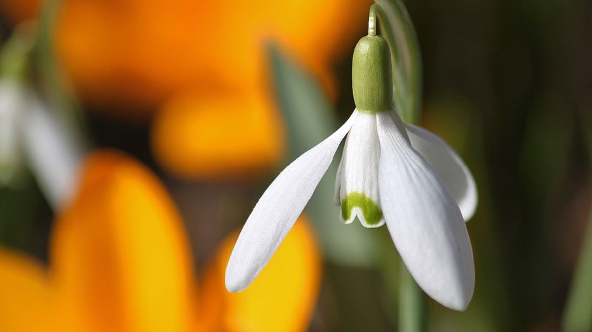 Погода на березень 2019 в Україні: прогноз, коли буде потепління