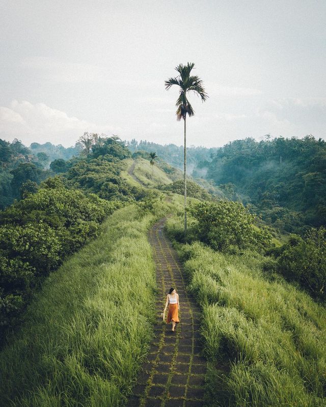 Індонезія з висоти пташиного польоту: фото, які варто побачити - фото 311092