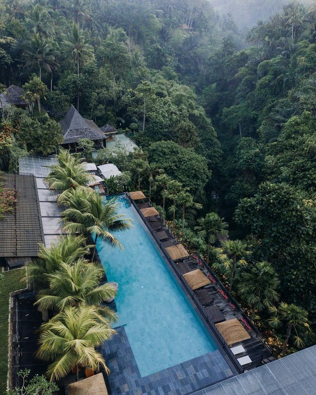 Індонезія з висоти пташиного польоту: фото, які варто побачити - фото 311098