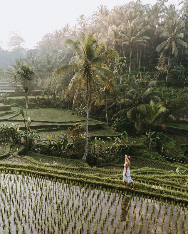 Індонезія з висоти пташиного польоту: фото, які варто побачити - фото 311107