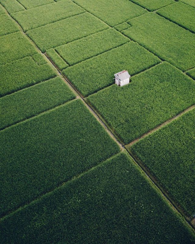 Індонезія з висоти пташиного польоту: фото, які варто побачити - фото 311108