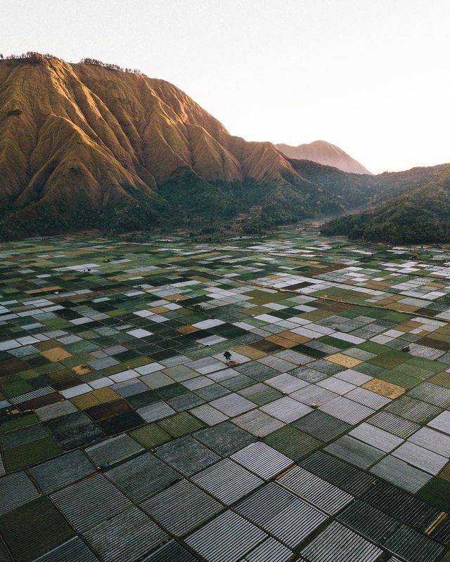Індонезія з висоти пташиного польоту: фото, які варто побачити - фото 311110