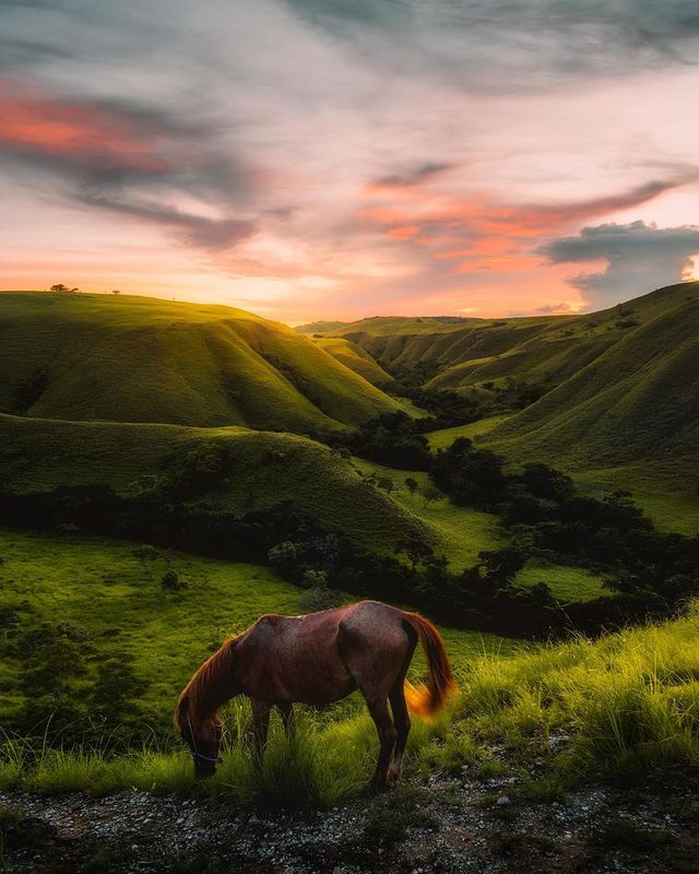 Захопливі подорожі індонезійського фотографа: яскраві кадри - фото 311187
