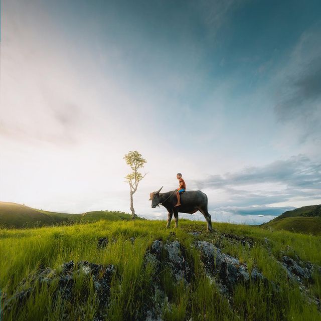 Захопливі подорожі індонезійського фотографа: яскраві кадри - фото 311189