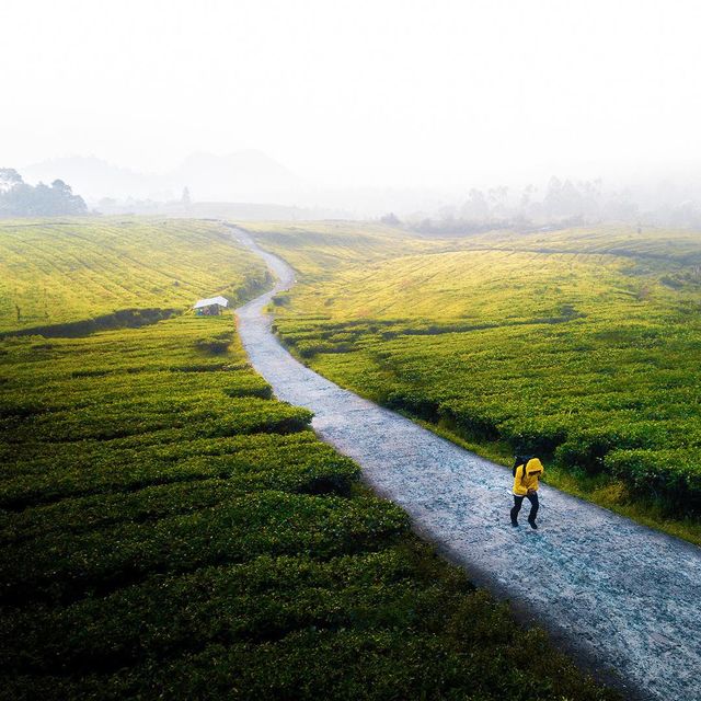 Захопливі подорожі індонезійського фотографа: яскраві кадри - фото 311199