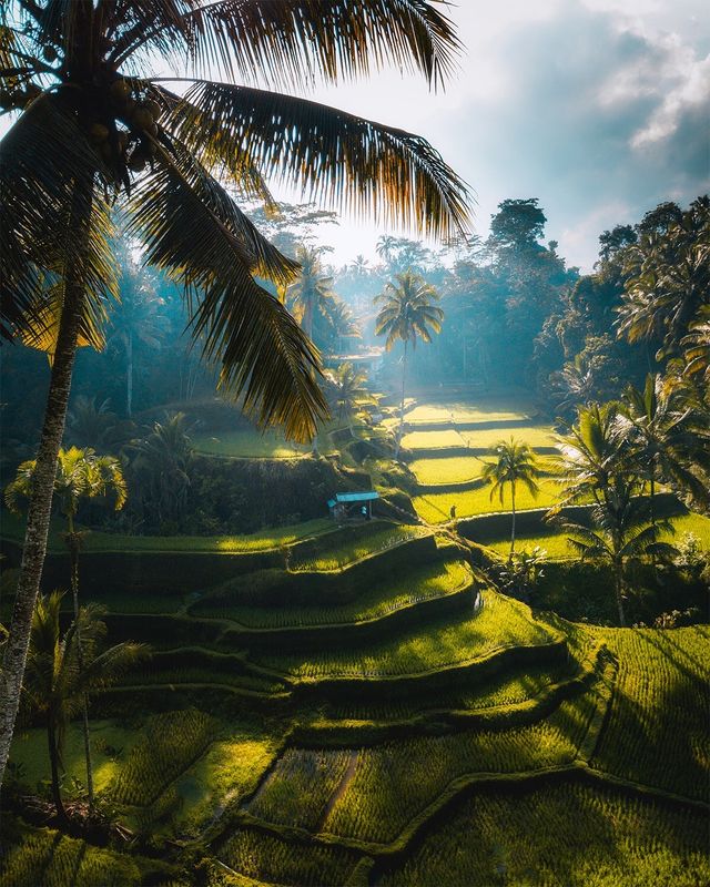 Захопливі подорожі індонезійського фотографа: яскраві кадри - фото 311207