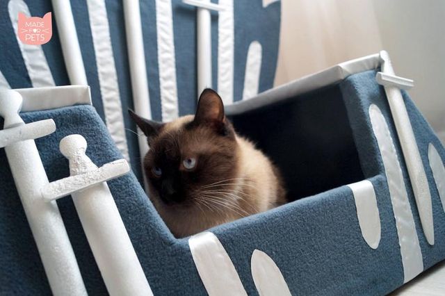 Гра престолів: українка створює залізні трони для тварин - фото 311436