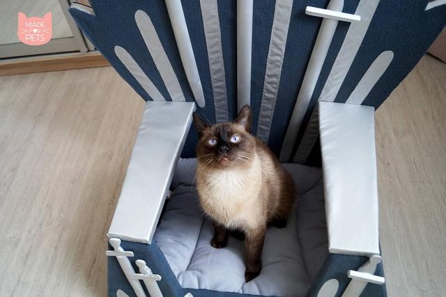 Гра престолів: українка створює залізні трони для тварин - фото 311437