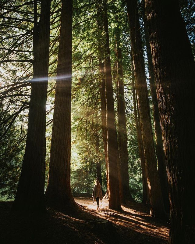 Справжній відпочинок: атмосферні фото подорожей Джеймса Артура - фото 311969