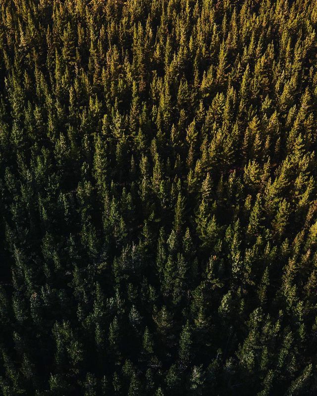 Справжній відпочинок: атмосферні фото подорожей Джеймса Артура - фото 311973