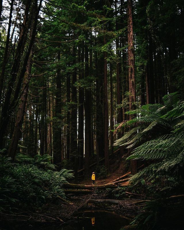 Справжній відпочинок: атмосферні фото подорожей Джеймса Артура - фото 311977