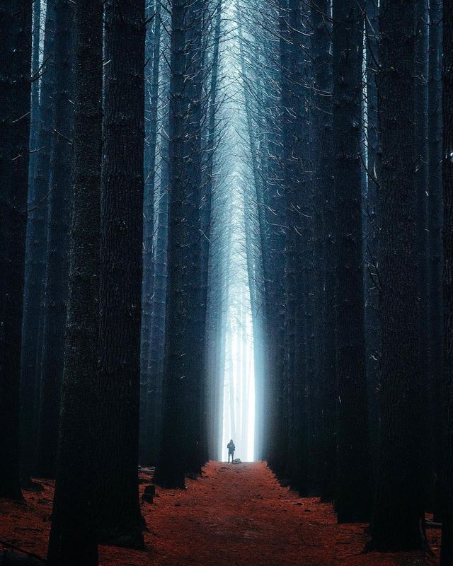 Справжній відпочинок: атмосферні фото подорожей Джеймса Артура - фото 311982