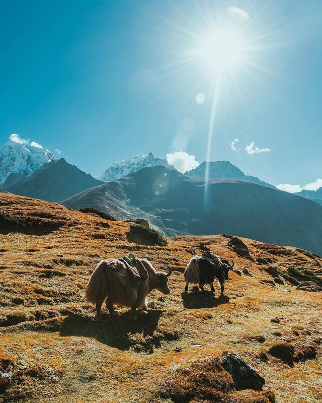 Справжній відпочинок: атмосферні фото подорожей Джеймса Артура - фото 311986