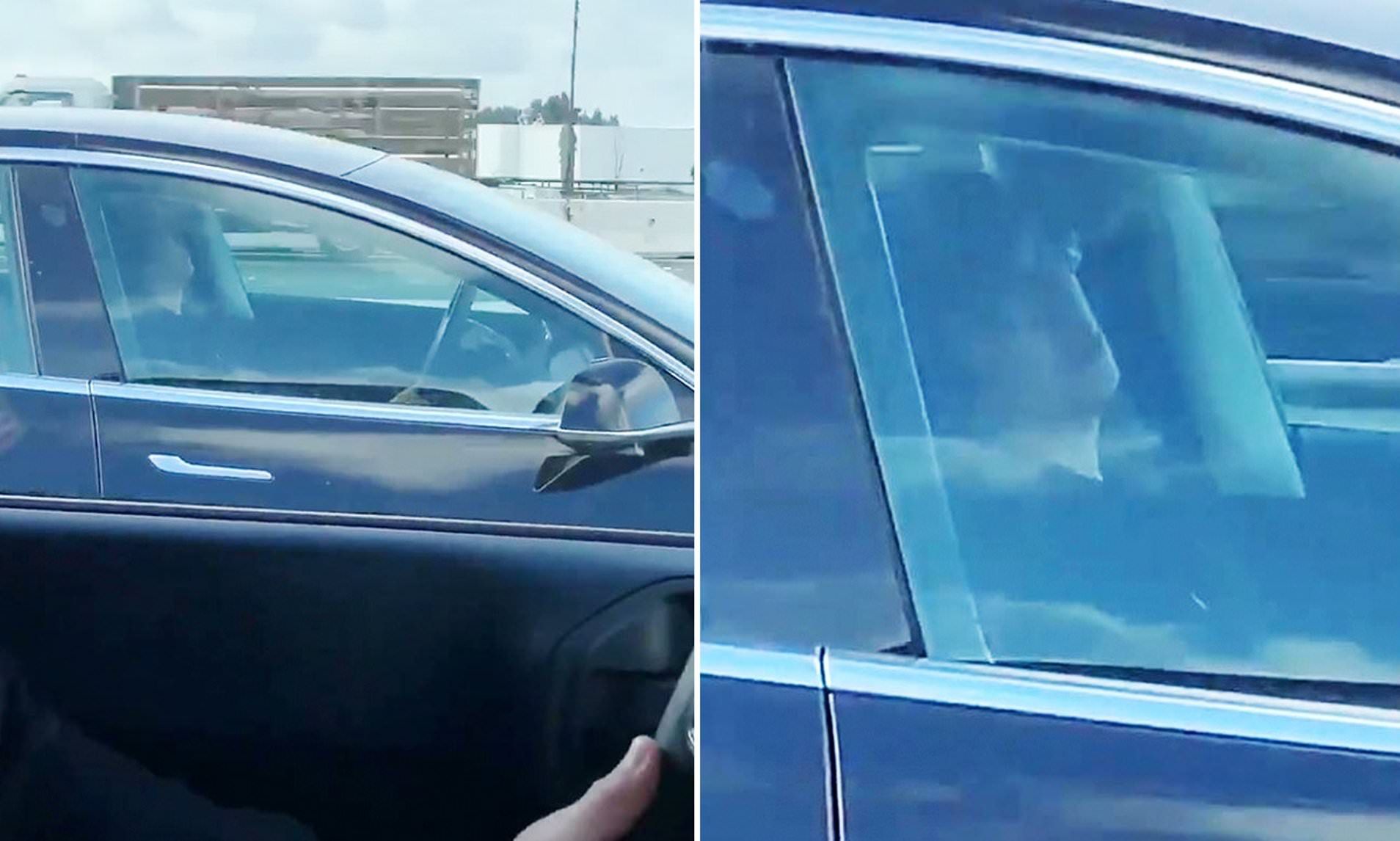 Як водій Tesla відпочиває за кермом - фото 1