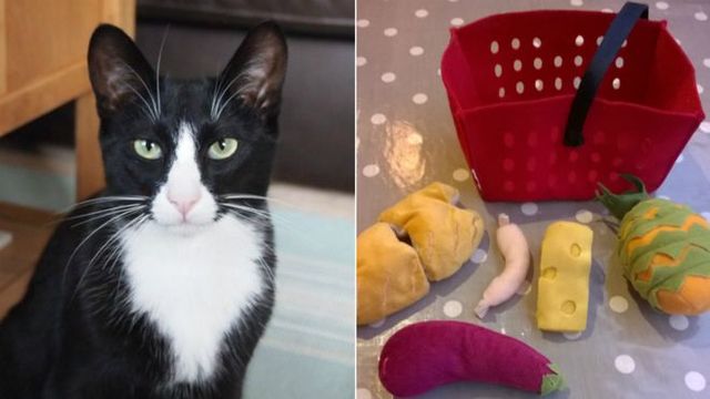 Кіт-клептоман прославився у мережі - фото 312074