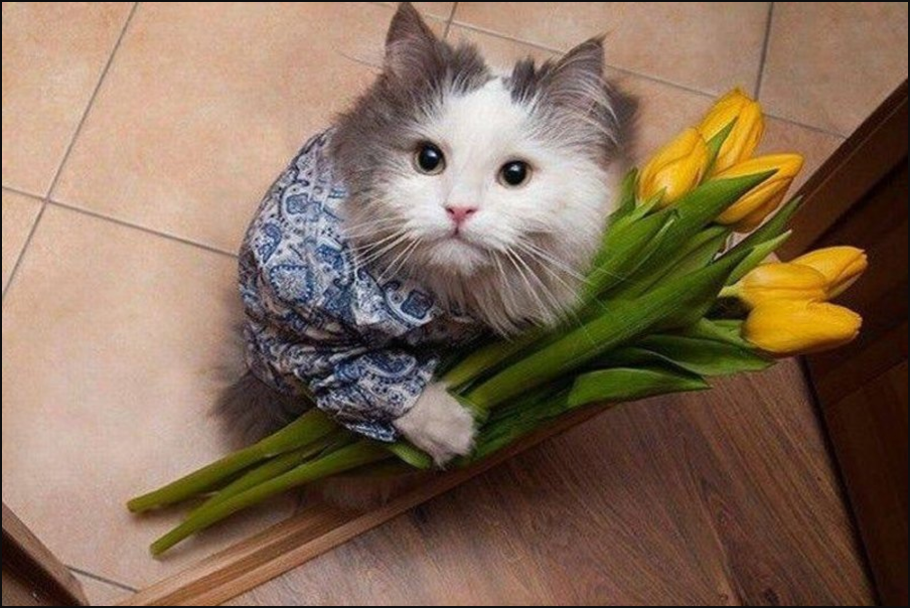 Міжнародний жіночий день – 8 березня - фото 1