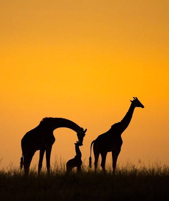 Ануроп Крішнан - фото 312974