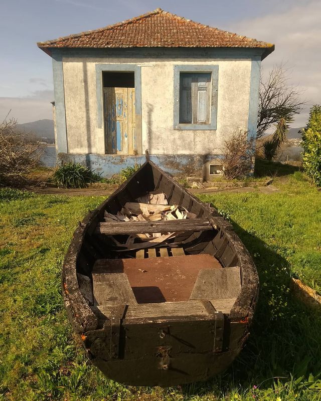 Не для туристів: занедбані місця Португалії, які повертає природа - фото 313037