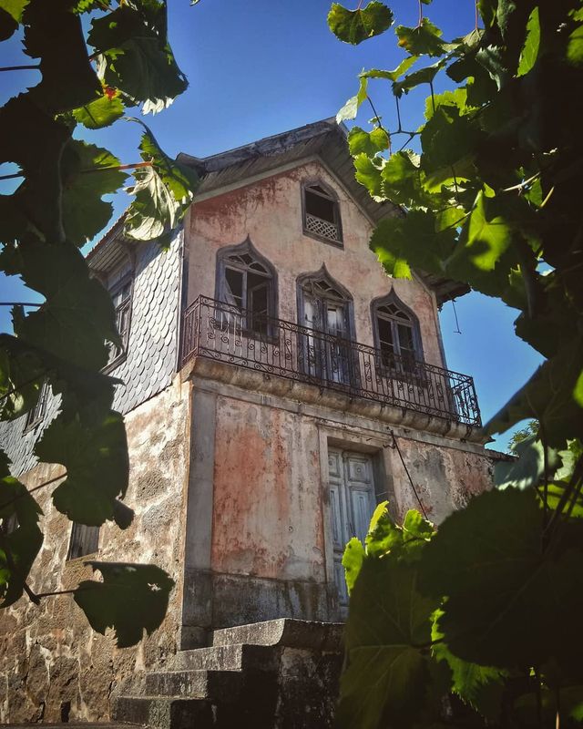 Не для туристів: занедбані місця Португалії, які повертає природа - фото 313038