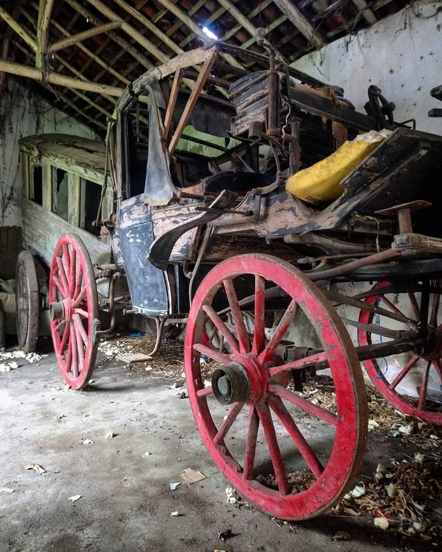 Не для туристів: занедбані місця Португалії, які повертає природа - фото 313040