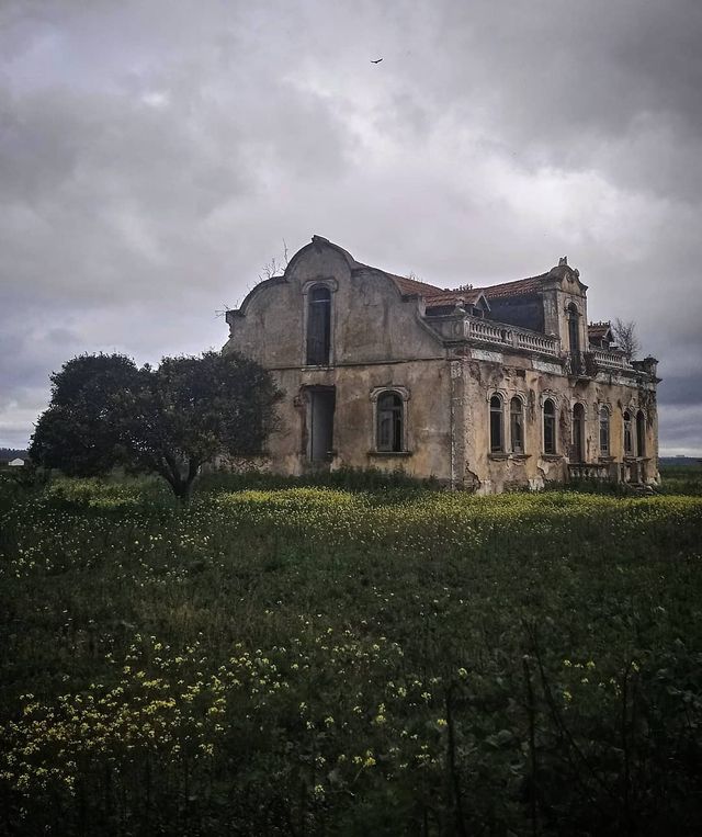 Не для туристів: занедбані місця Португалії, які повертає природа - фото 313043
