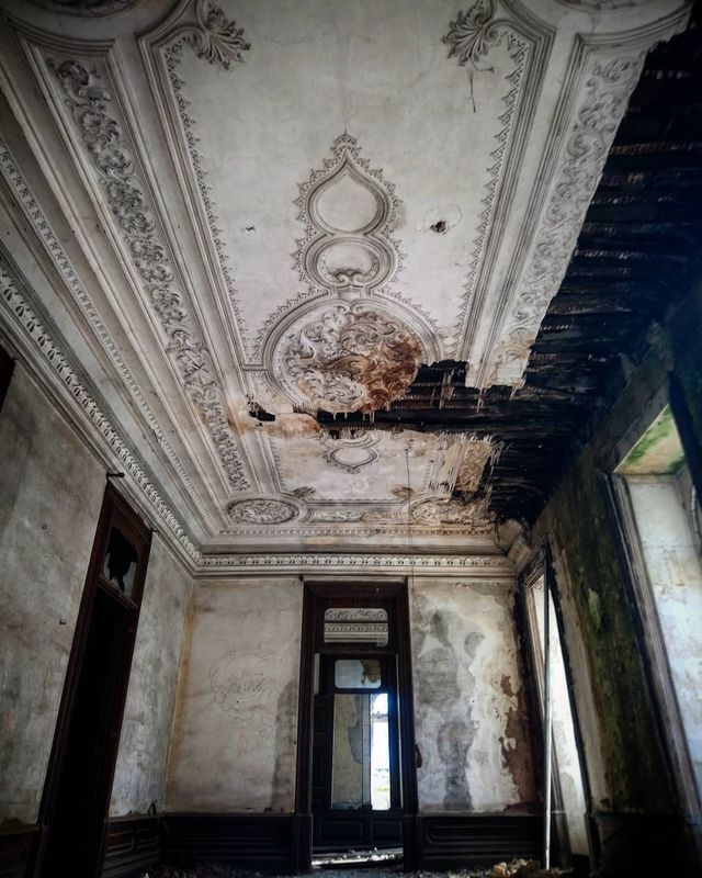 Не для туристів: занедбані місця Португалії, які повертає природа - фото 313046