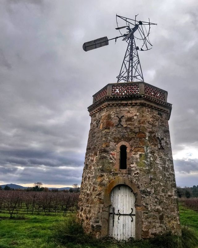 Не для туристів: занедбані місця Португалії, які повертає природа - фото 313048