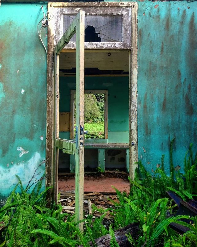 Не для туристів: занедбані місця Португалії, які повертає природа - фото 313049