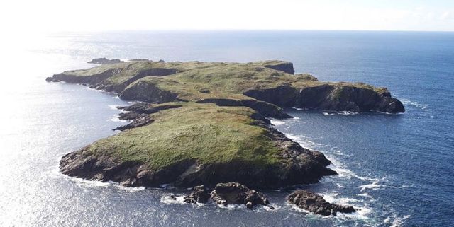 В Ірландії продається безлюдний острів - фото 313301