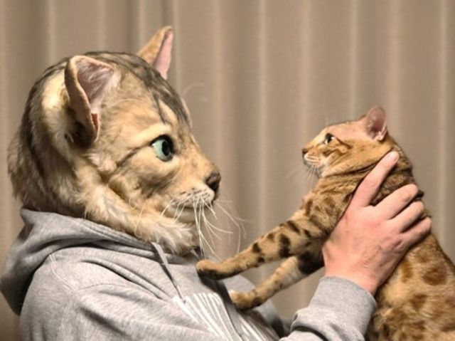 Японці вигадали химерний тренд з тваринами: епічні фото - фото 313305