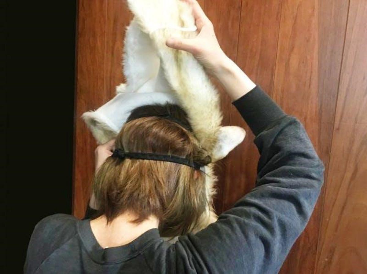 Японці вигадали химерний тренд з тваринами: епічні фото