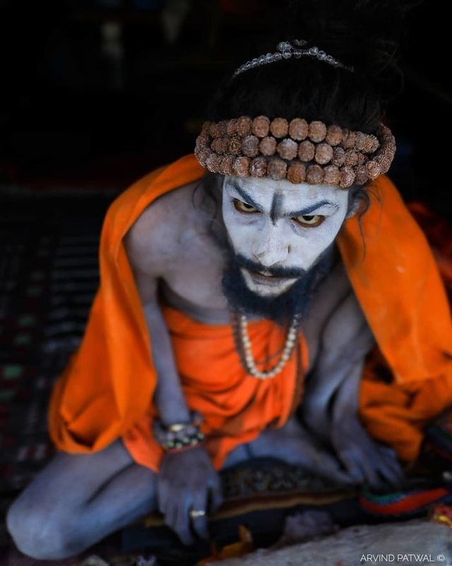 Журнал National Geographic обрав найкращі знімки в Instagram - фото 313311