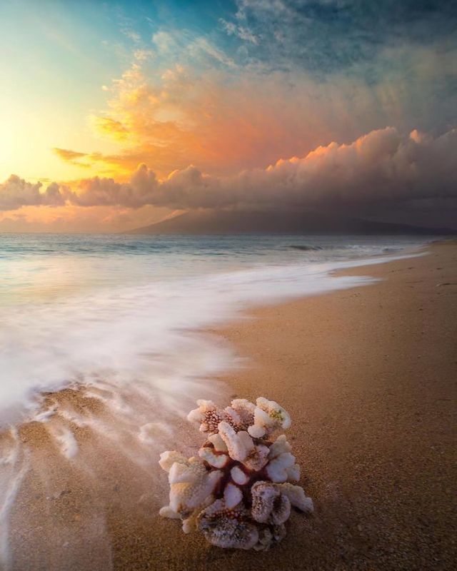 Журнал National Geographic обрав найкращі знімки в Instagram - фото 313313