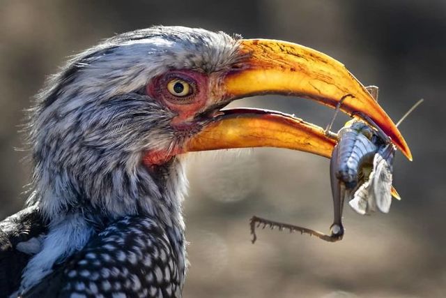 Журнал National Geographic обрав найкращі знімки в Instagram - фото 313316