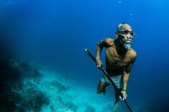 Журнал National Geographic обрав найкращі знімки в Instagram - фото 313317