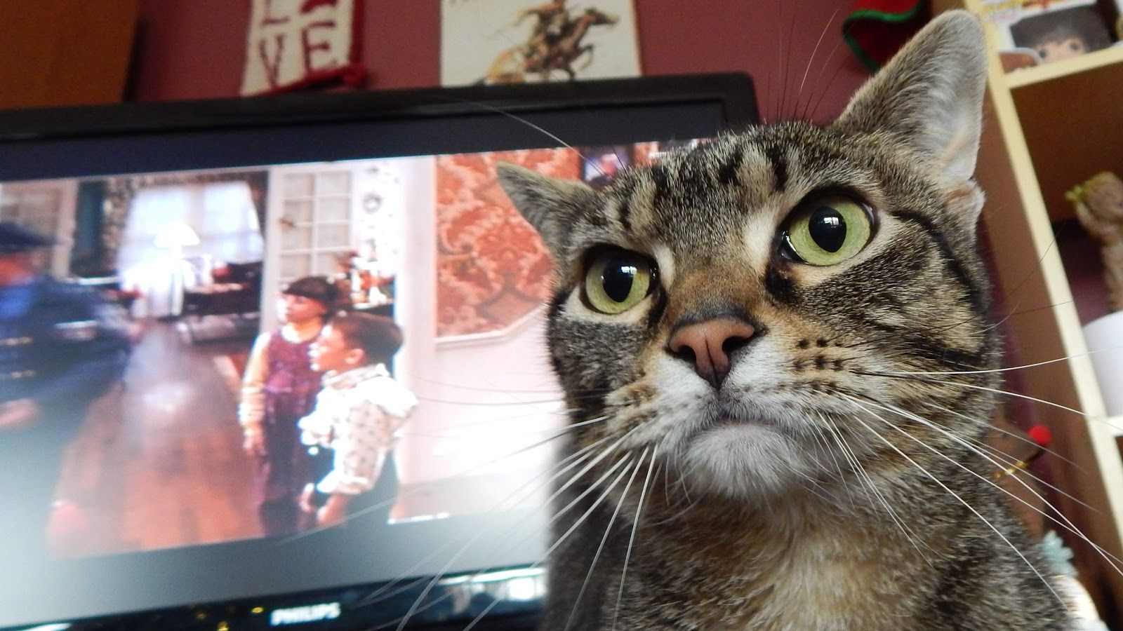 Хвостаті – природжені мисливці - фото 1